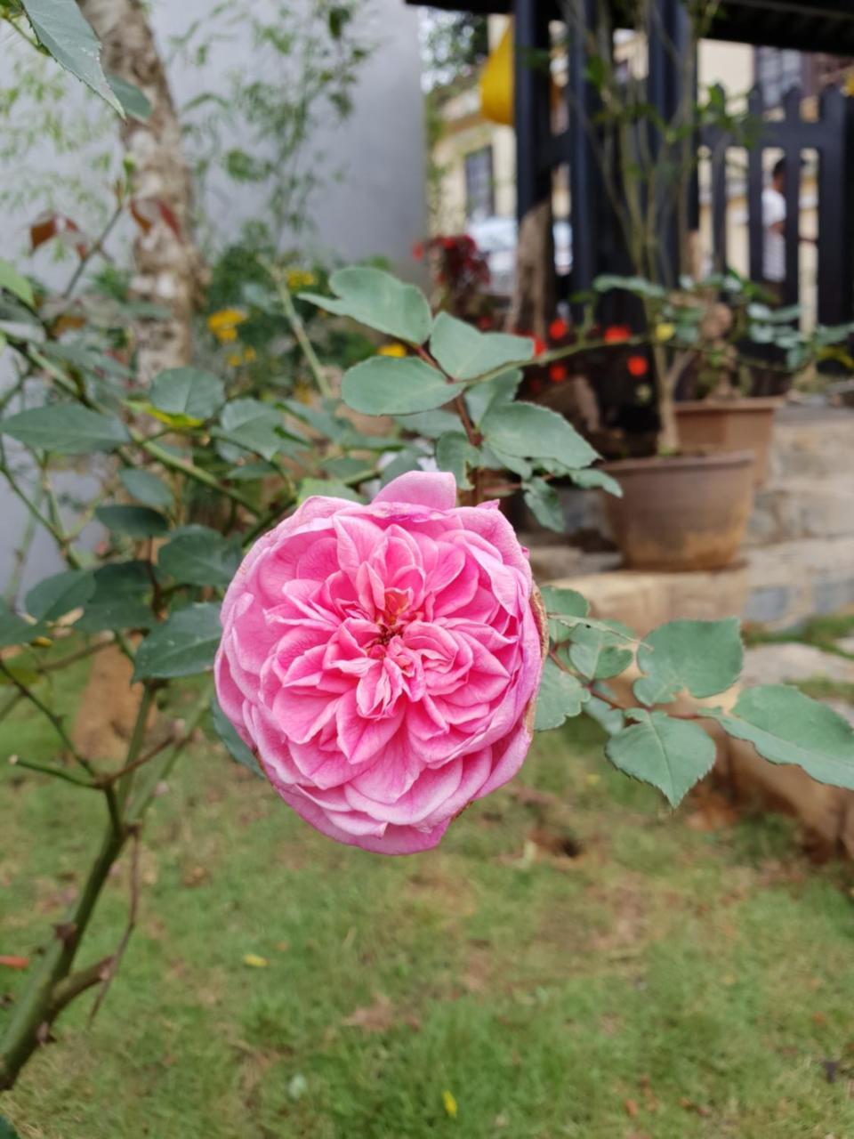 Sapa Charming Homestay Екстер'єр фото