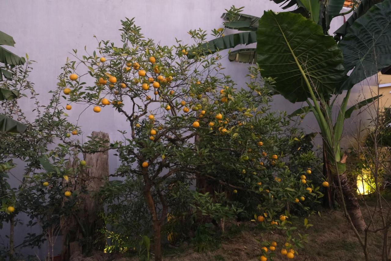 Sapa Charming Homestay Екстер'єр фото